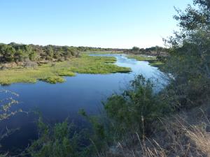 Boteti river 2014 2 P1090801 small