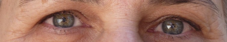 cropped-p1090883-eyes-cropped.jpg