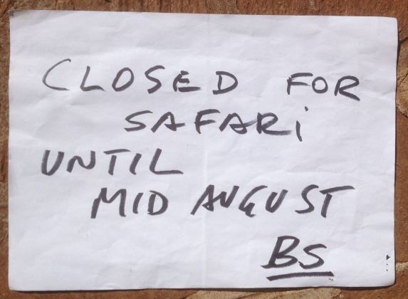 IMG_0229 closed for safari cropped and small