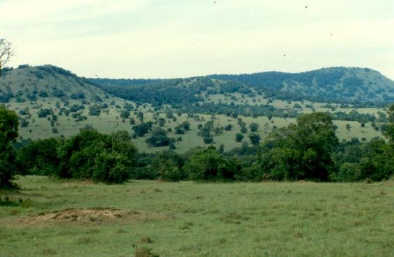 The evergreen and beautiful Transmara area where Intona Ranch was located.