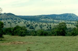 The evergreen and beautiful Transmara area where Intona Ranch was located.