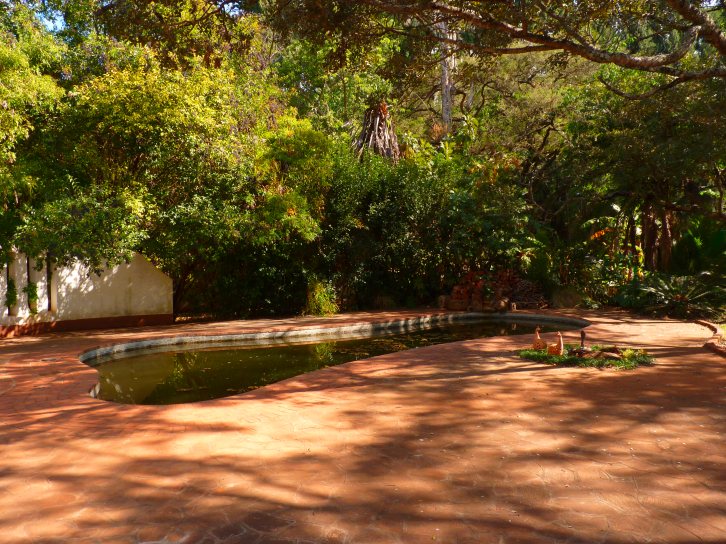 The swimming pool is now our water reservoir.