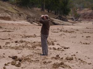 Elephant spoor was all around us during our walks in the river beds.