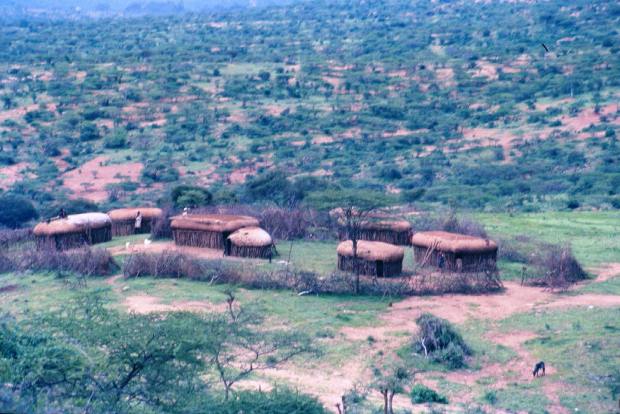 Samburu's manayatta (family settlement with huts and traditional spiny fence): Somewhere on the way to Isiolo.
