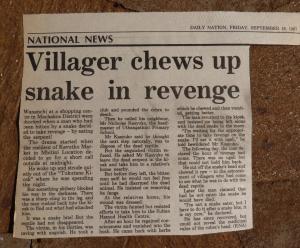 Chewed snake cropped