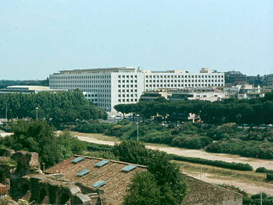 FAO Headquarters from the Palatine Forum.