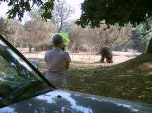 My wife keeping an eye on our hippo visitor during a day visit.