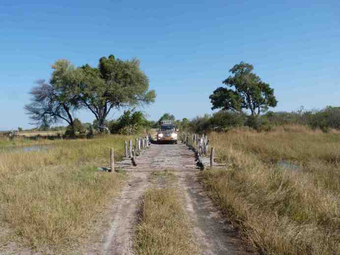moremi bridge small