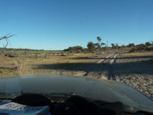 Sand driving P1090802