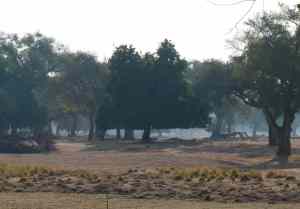 Can a human achieve such perfection?