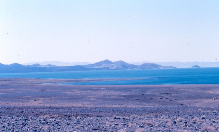 The first area of Kenya I saw: Lake Turkana. The picture was taken a few years later during a safari there.