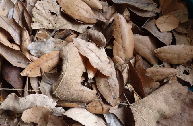 spot the beast 2 out