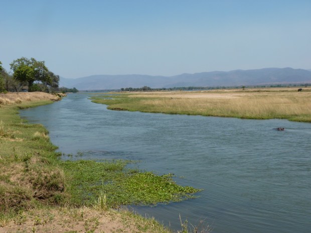 Zambezi river