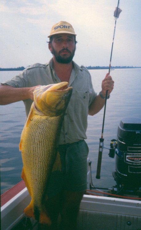 Another Dorado caught with Sabalo bait. 