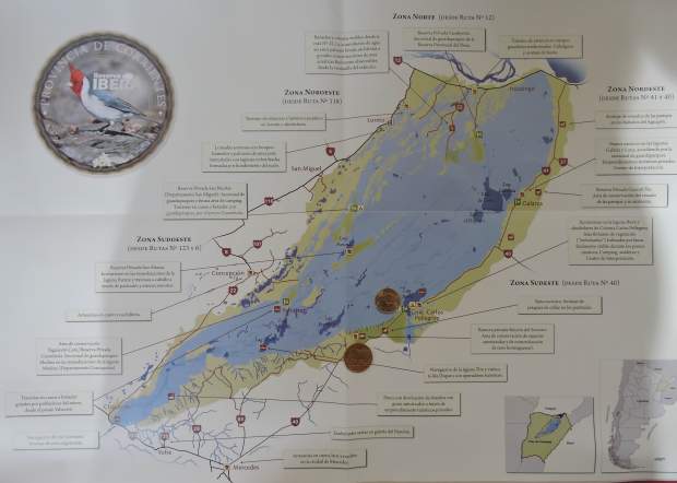 A general view of the Ibera wetlands. Capybara coin: Rincon del Socorro; Armadillo: Ibera lagoon. 