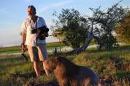 Capybara wet land A Bushsnob In Africa