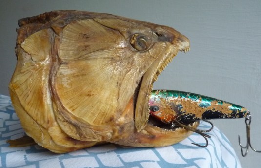 They have a large mouth.