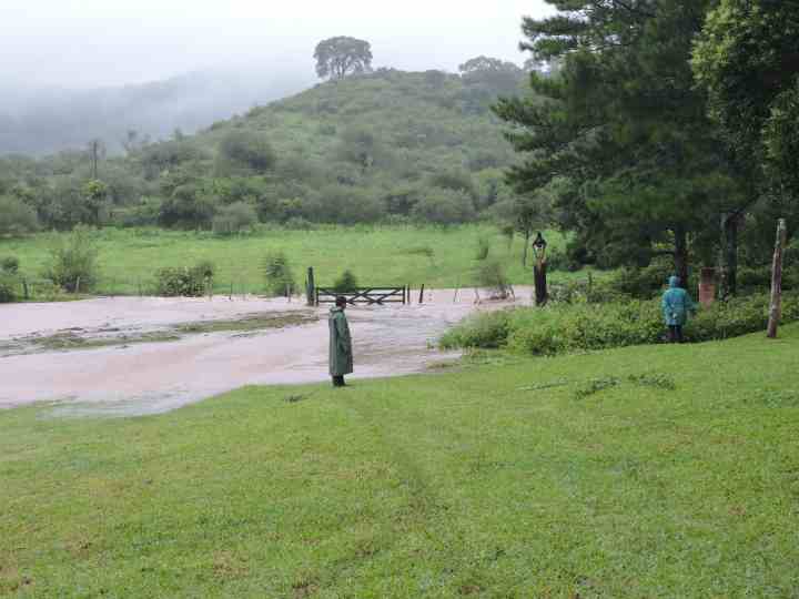 Inspecting the flooded farm.