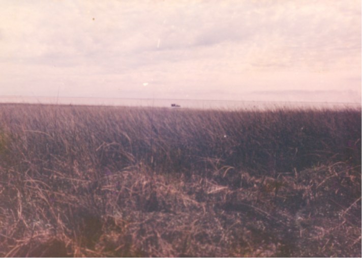 The speck in the background is the semi-submerged Land Rover then there is open water and in the forefront an extensive area of water covered with bulrushes.