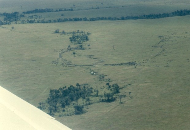 m mara small cropped