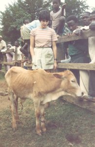 A survivor! An adult steer with my wife and members of the public!.