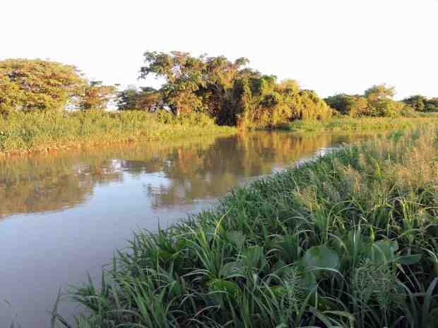 A channel in the delta of the Corriente River.