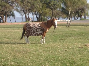 Now, this was something!