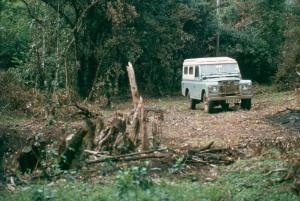 Lost in the bush with Alan, prior to finding our Maasai