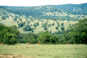 A view of Intona ranch in the Transmara parkland.