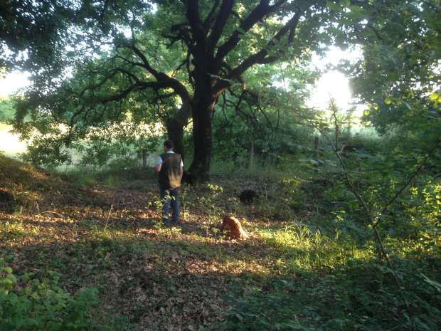 Waiting for results...