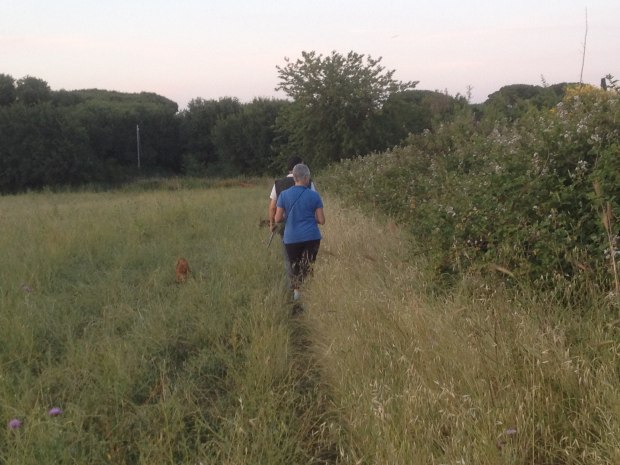 Following the dogs'.