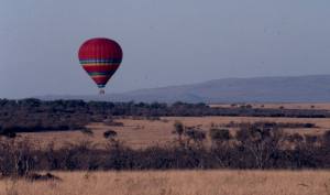 A hot air baloon flies over a rather dry Maasai Mara.