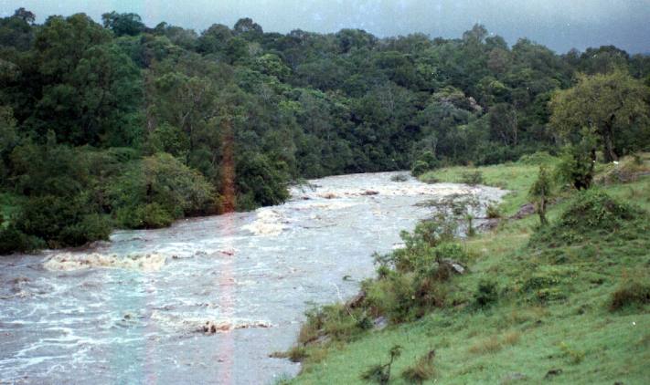 Migori river in flood.