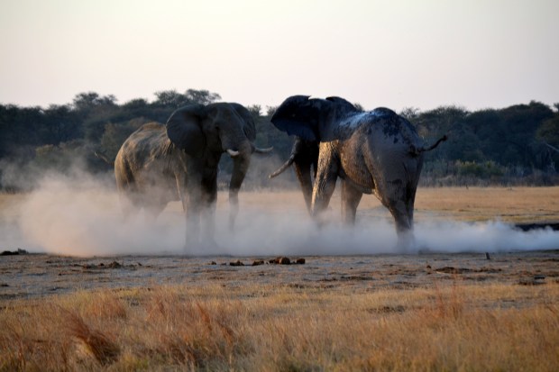 Ocasionally things get out of hand.