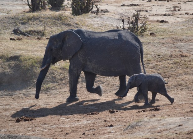 All shyness lost when getting close to the water!