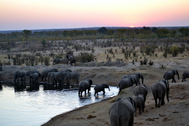 At sunset, the show continued unabated.