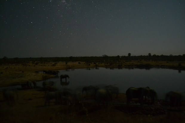 The original picture, above.