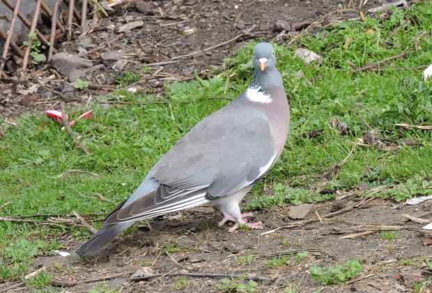 What are you looking at?