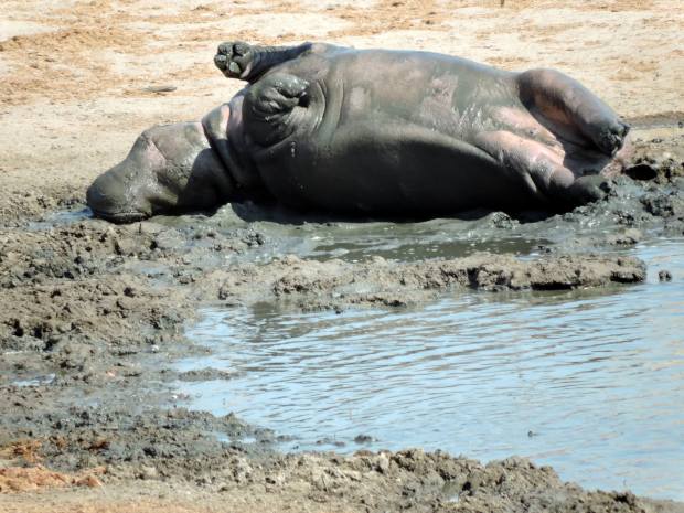 (Photo by Julio A. de Castro & Mariana Terra)