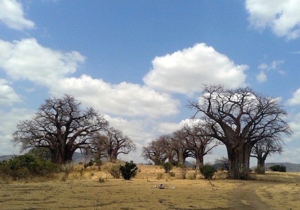 20150914_113034 copy