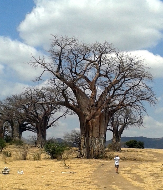 20150914_113212 copy