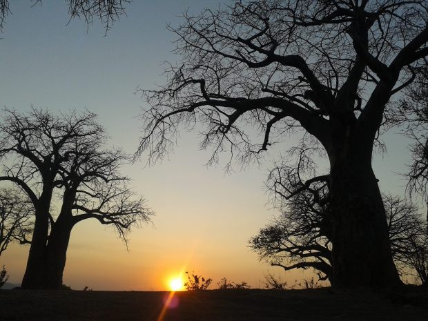 20150914_174617 copy