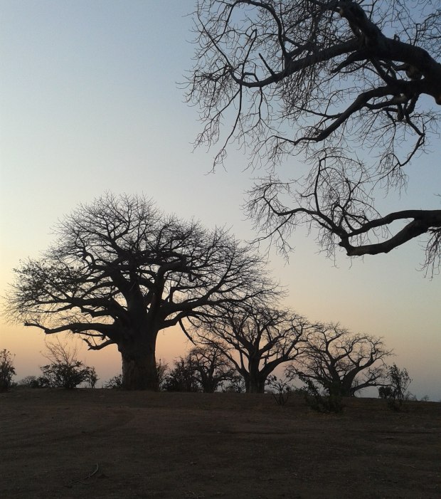 20150914_174853 copy