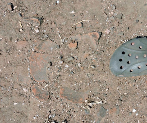 Some of the broken pottery found.