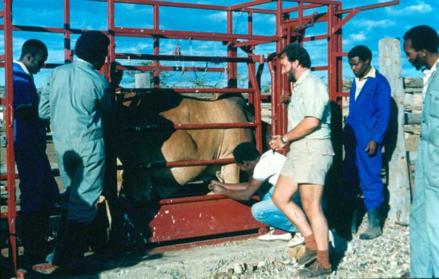 Mutara tick selection work.