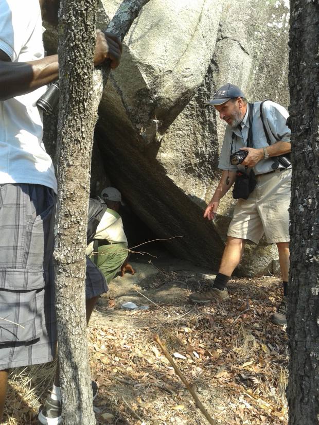 Examining an interesting cave en route to the nest.