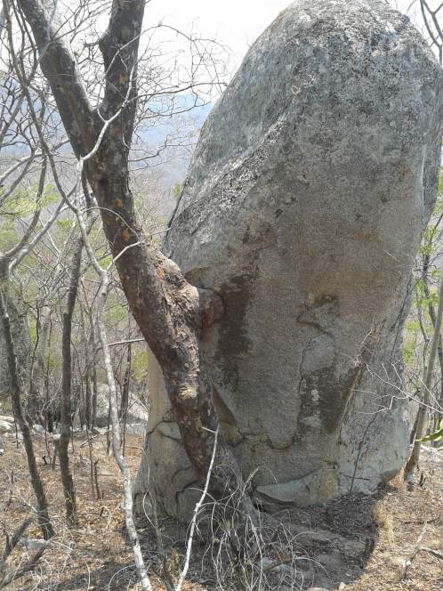 20151009_111426 copy