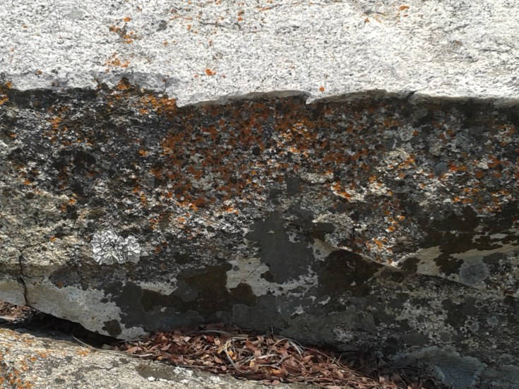 20151009_111741 copy