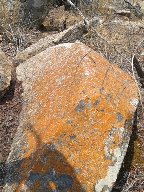 20151009_111756 copy