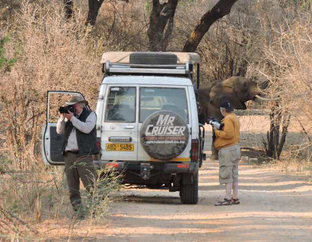 The viewing and photographing.